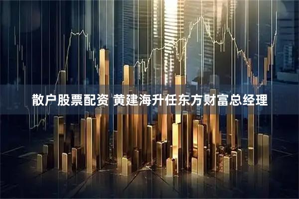 散户股票配资 黄建海升任东方财富总经理